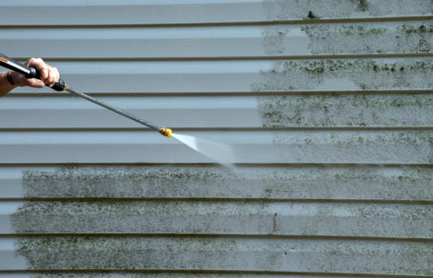 Best Animal Enclosure Cleaning  in Benton, IL